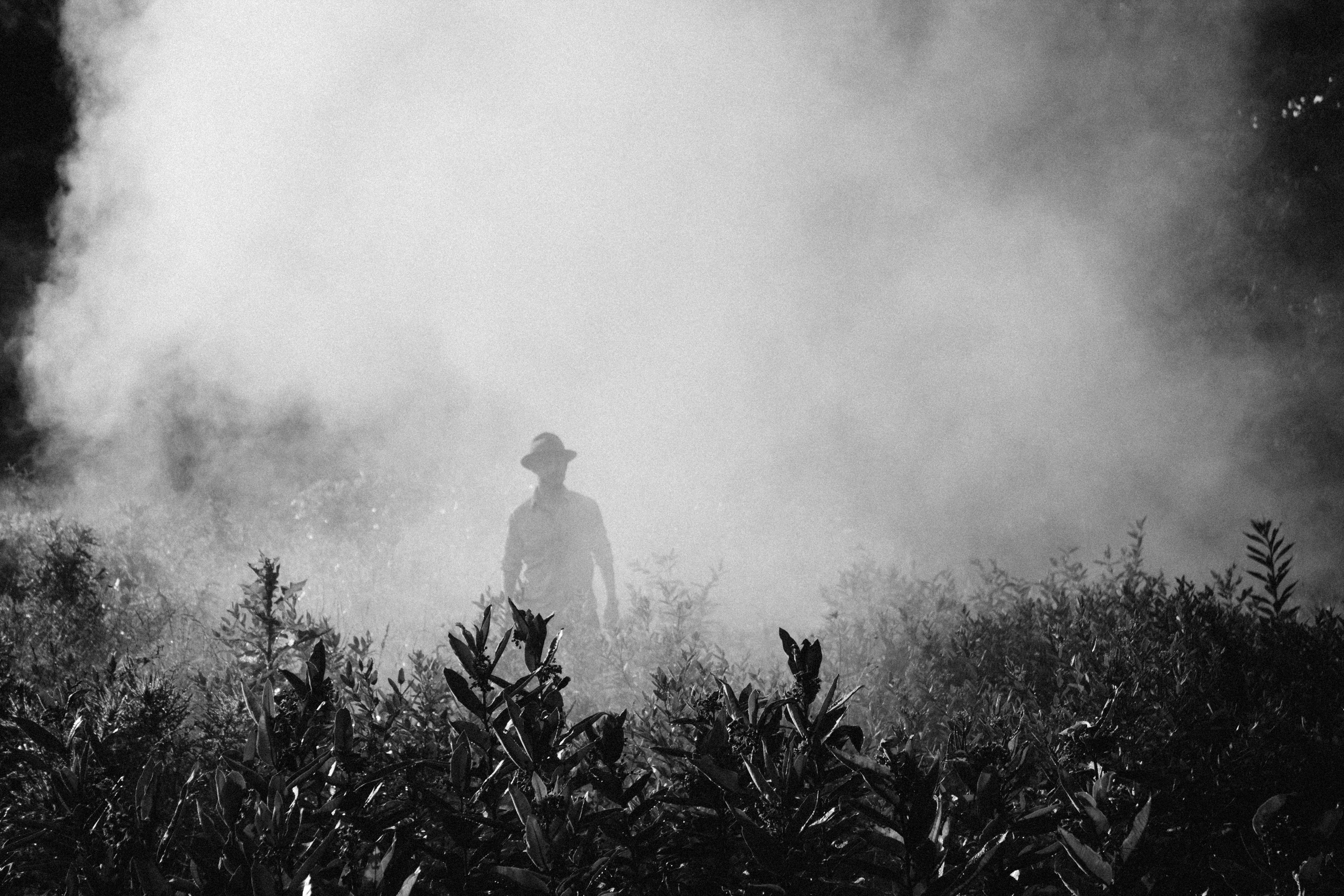 Person auf Feld im Nebel
