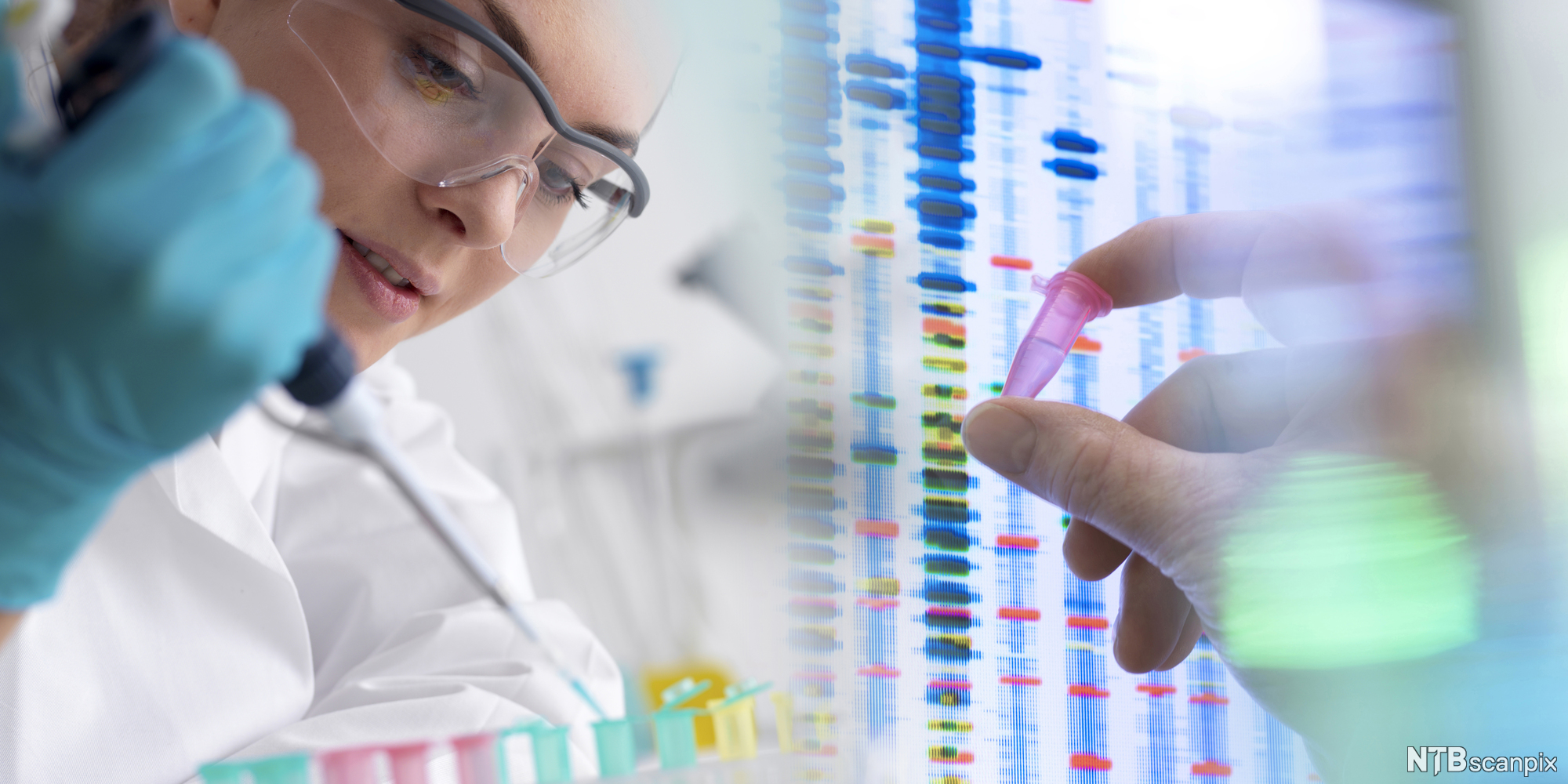 Person mit Pipette im Labor analysiert Genom