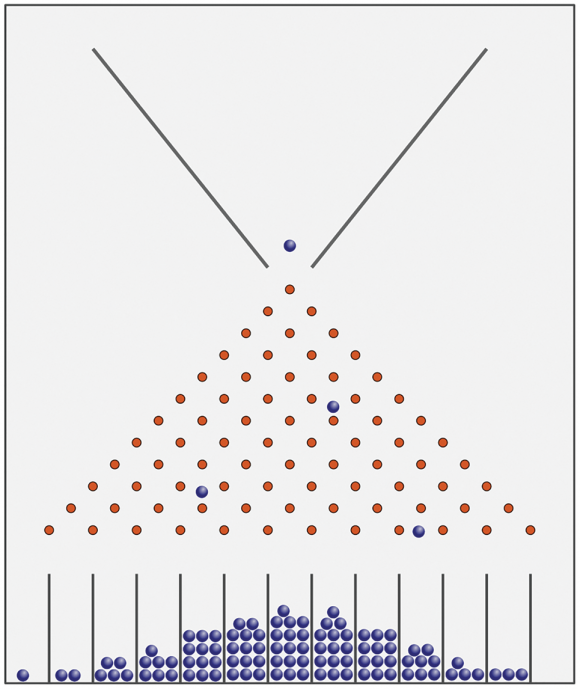 Francis Galtons „Quincunx“ oder Galtonbrett
