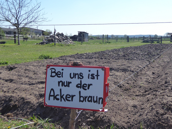 Brauner Acker