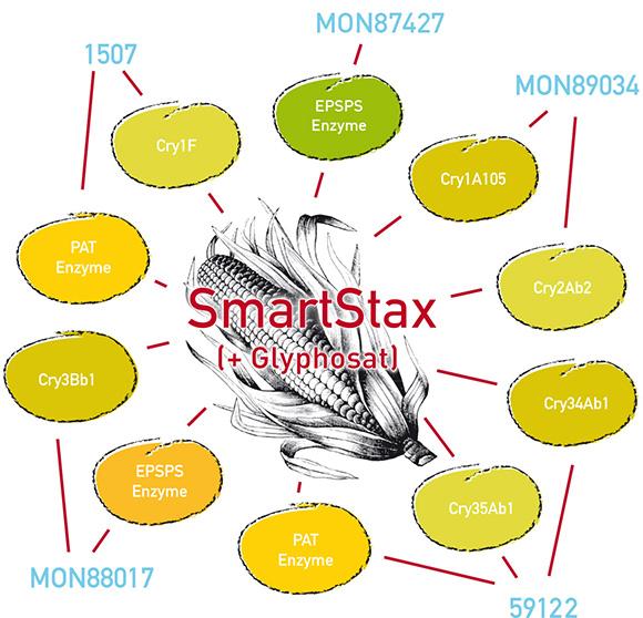 Mais SmartStax