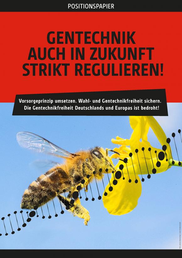 Cover Positionspapier 2021