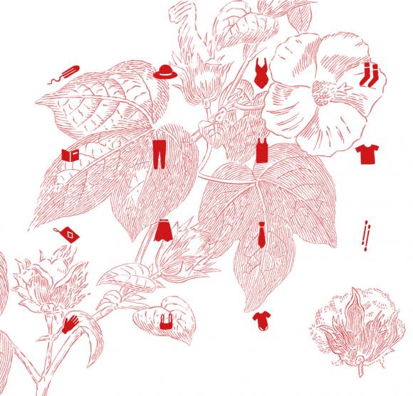 Baumwollpflanze und Kleidung