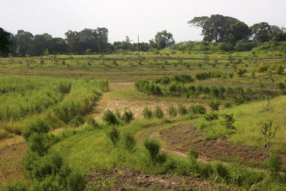 Landschaft im Keyline Design