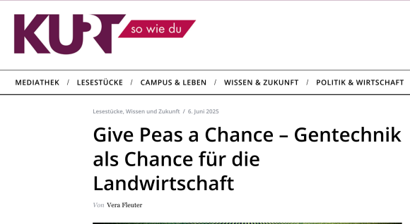 Screenshot der KURT-Webseite