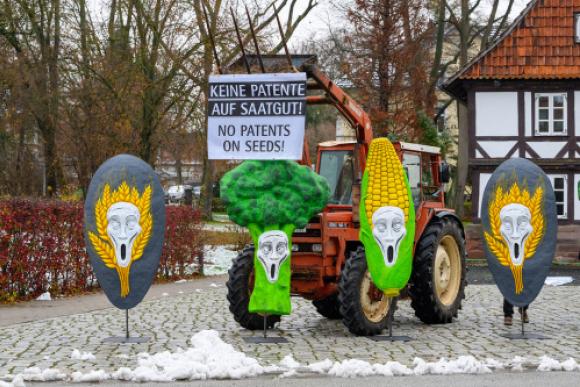 Aktion gegen patente bei der KWS Saatgut. Foto: Falk Heller