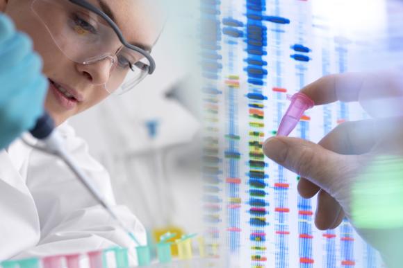 Person mit Pipette im Labor analysiert Genom